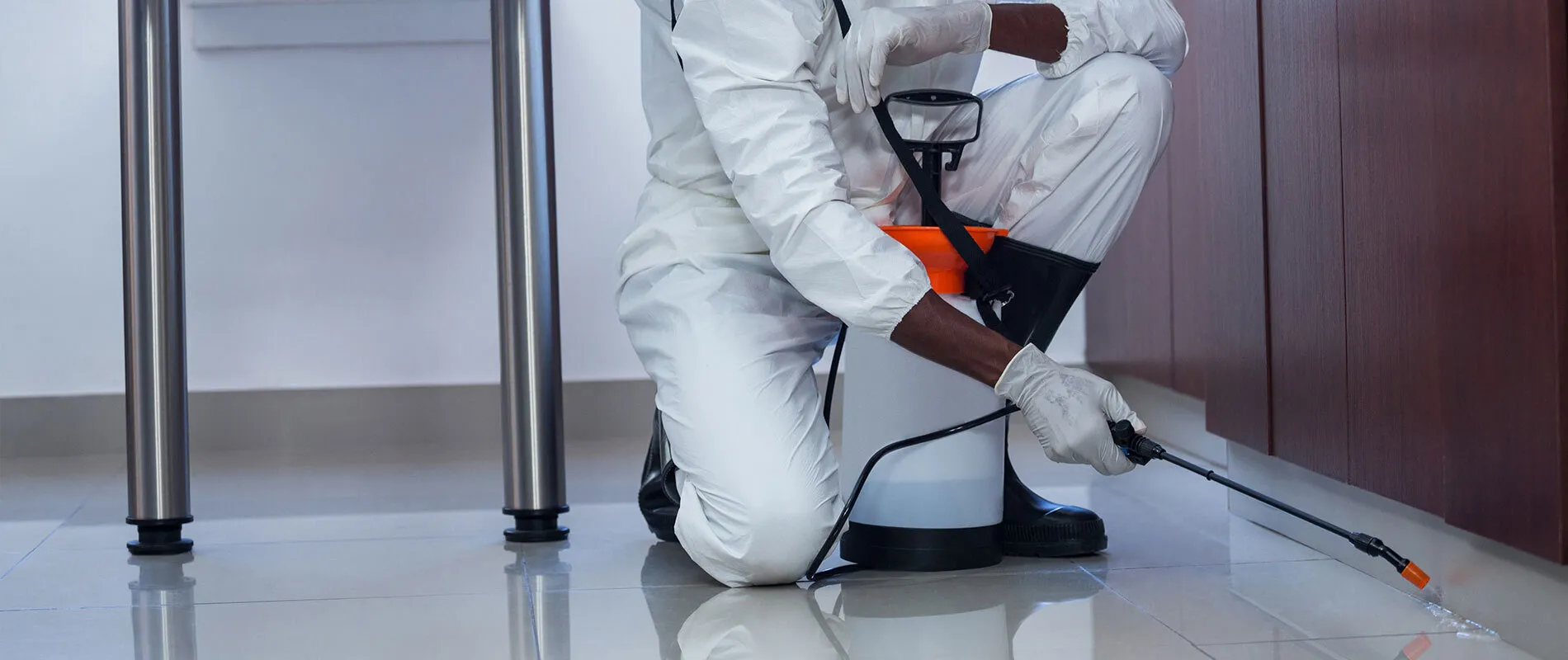 شركة تنظيف ومكافحة حشرات:دليلك الشامل للحصول على منزل نظيف وخالٍ من الآفات