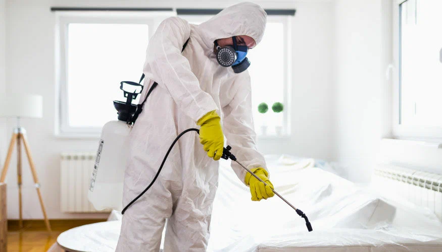 شركة مكافحة حشرات