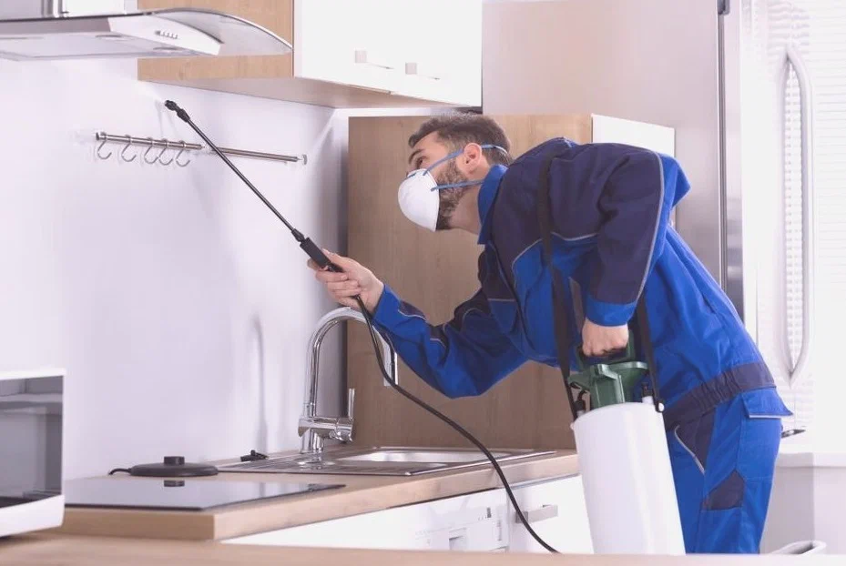 شركة مكافحة حشرات