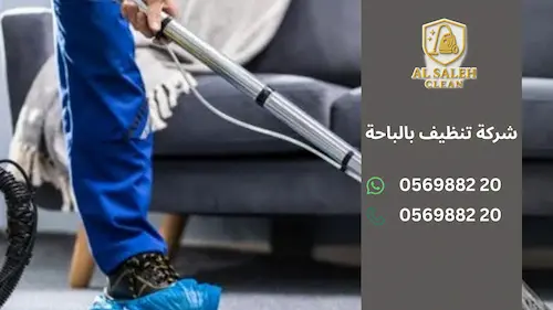 شركة تنظيف بالباحة