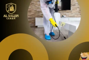 شركة مكافحة حشرات في دبي