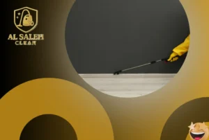 شركة مكافحة حشرات في عجمان