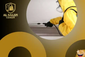 شركة مكافحة حشرات في عجمان