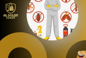 شركة مكافحة حشرات في عجمان