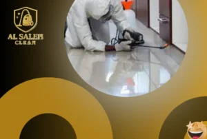 شركة مكافحة حشرات في دبي