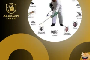 شركة مكافحة حشرات في عجمان