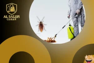 شركة مكافحة حشرات في دبي