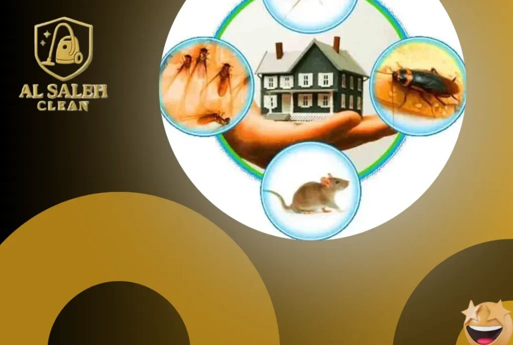 شركة مكافحة حشرات في عجمان