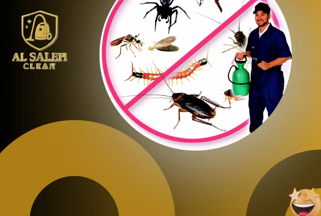 شركة مكافحة حشرات في أم القيوين