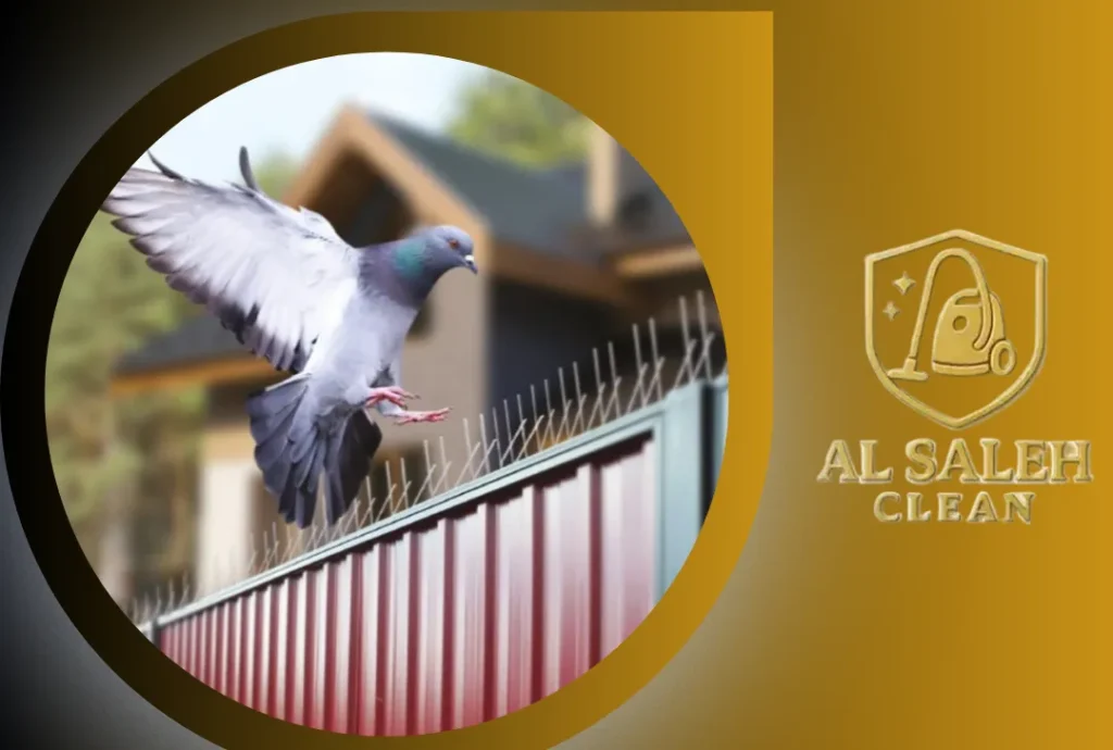 شركة تركيب طارد حمام في رأس الخيمة