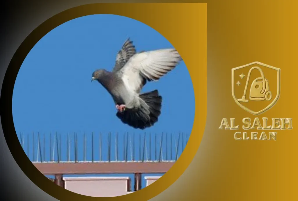 شركة تركيب طارد حمام في دبي