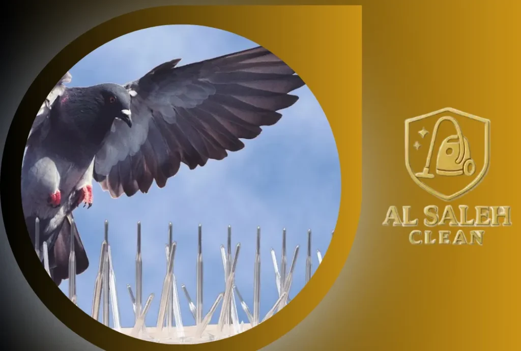 شركة تركيب طارد حمام في العين