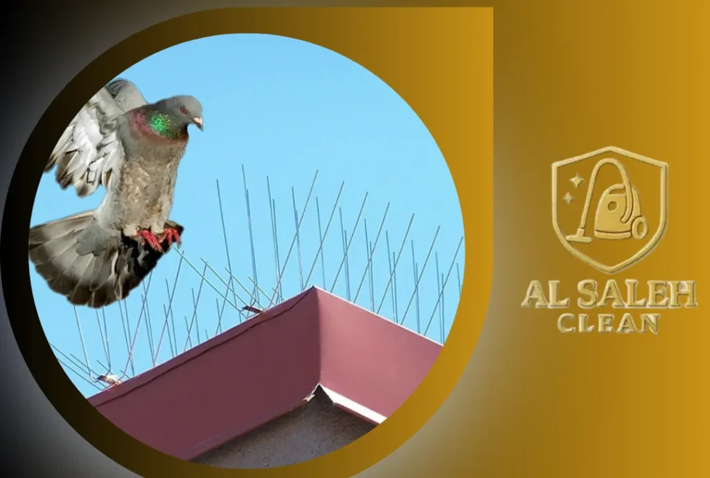 شركة تركيب طارد حمام في العين