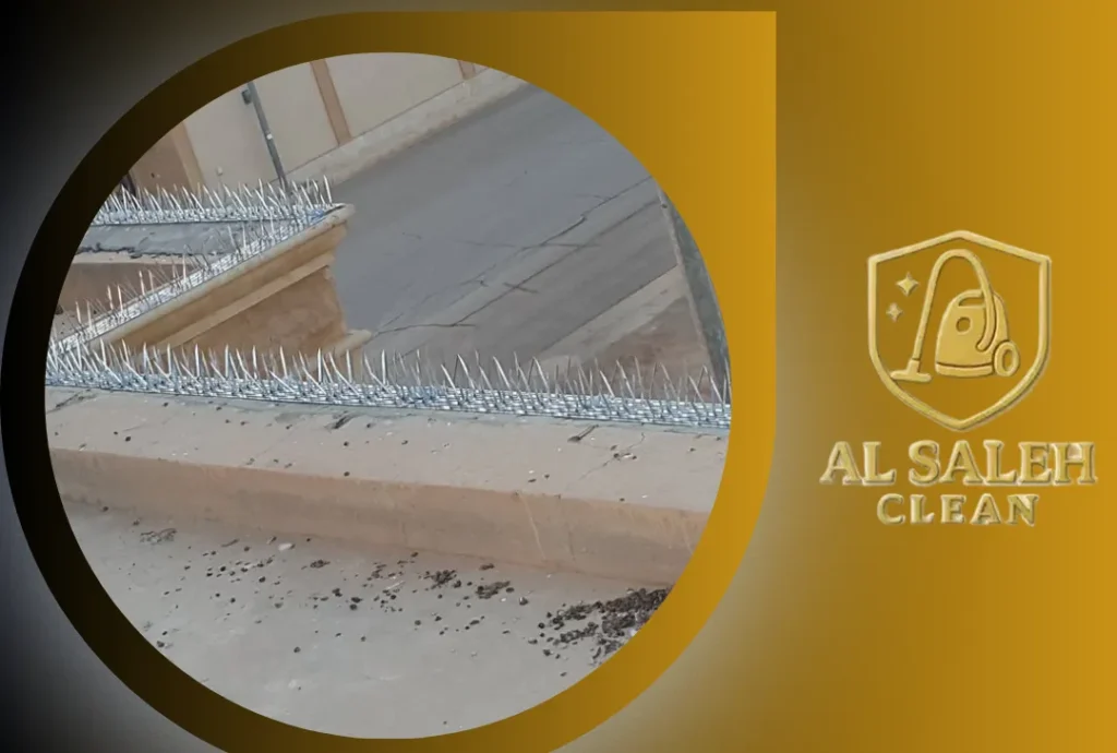 شركة تركيب طارد حمام في الفجيرة