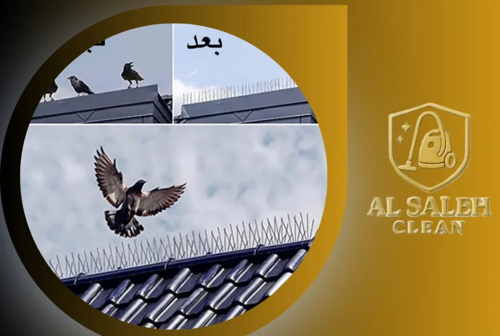 شركة تركيب طارد حمام في دبي