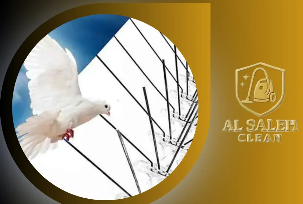 شركة تركيب طارد حمام في رأس الخيمة