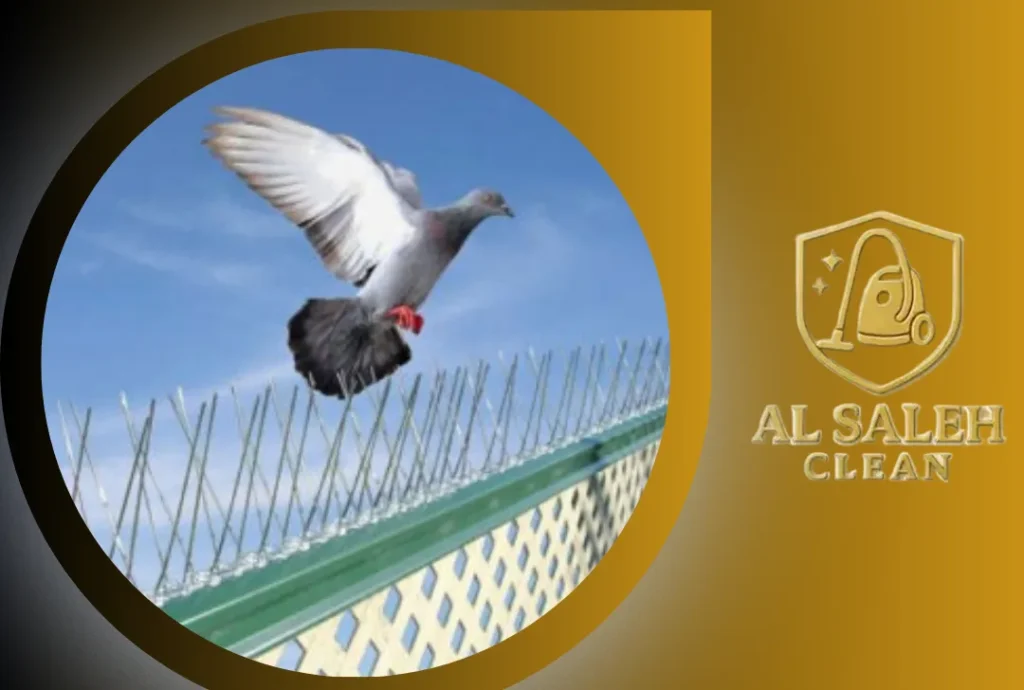 شركة تركيب طارد حمام في رأس الخيمة