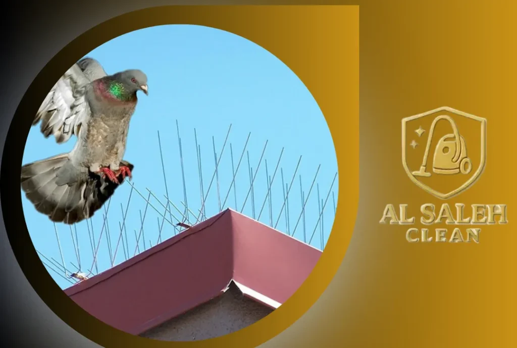 شركة تركيب طارد حمام في عجمان