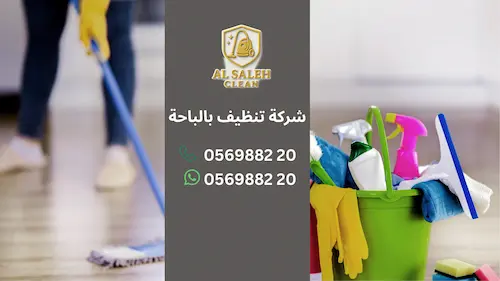 شركة تنظيف بالباحة
